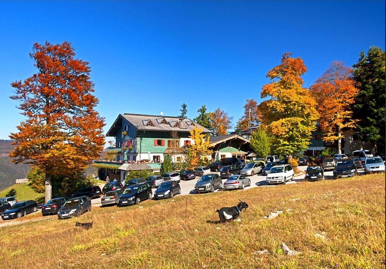 Un parking rempli de voitures et un chèvre sur une colline herbeuse, un bâtiment avec un toit en pente, et des arbres aux couleurs automnales en arrière-plan.
