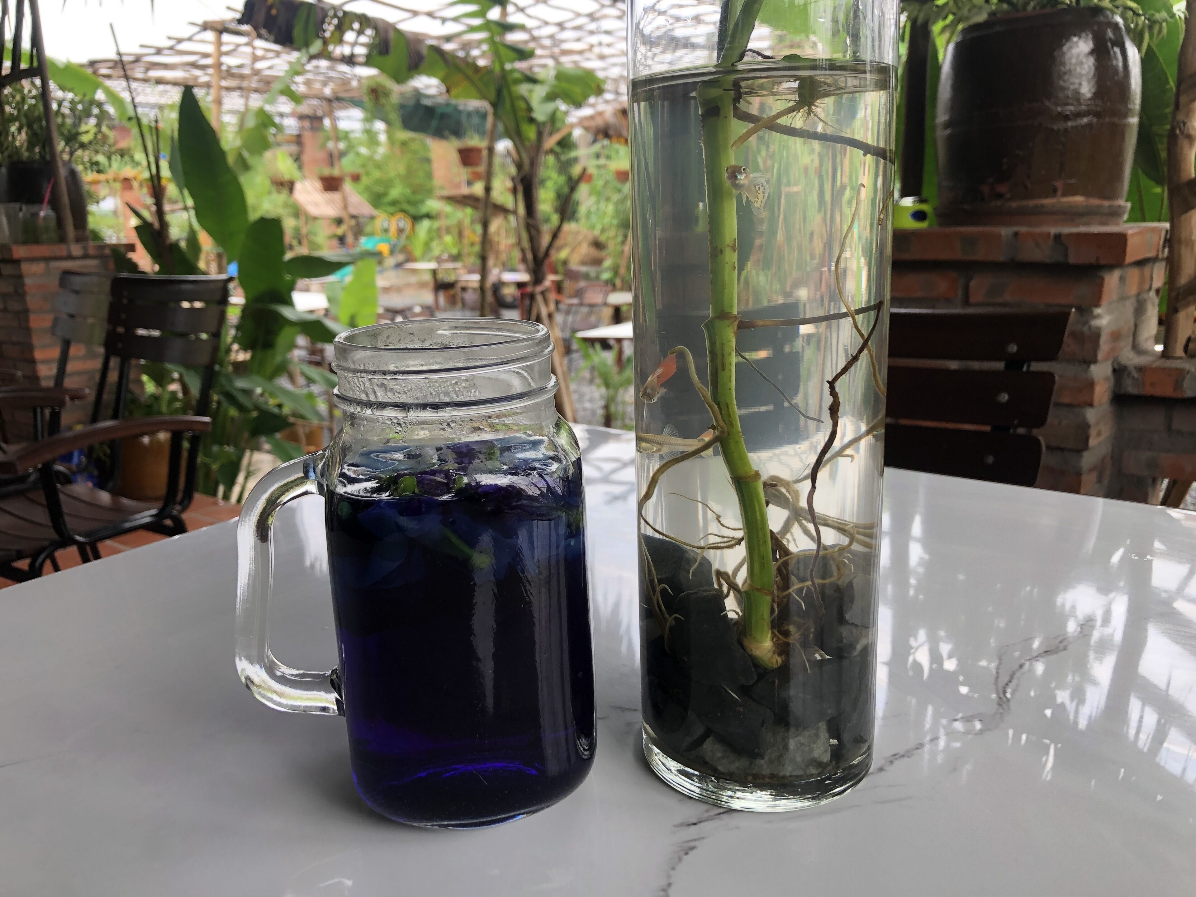 Una jarra de vidrio transparente y un recipiente alto con un tallo de planta, ambos sobre una mesa de mármol.