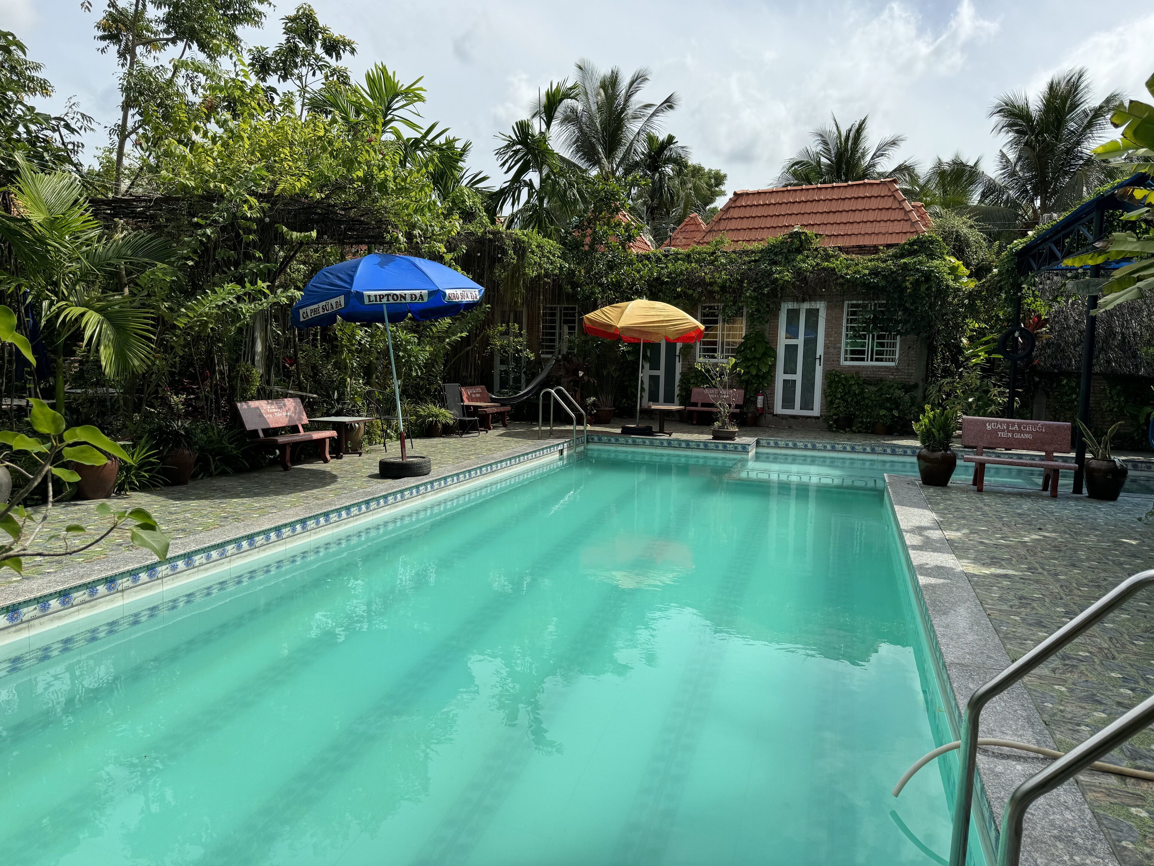 A swimming pool with a tiled edge, surrounded by lush greenery and palm trees.