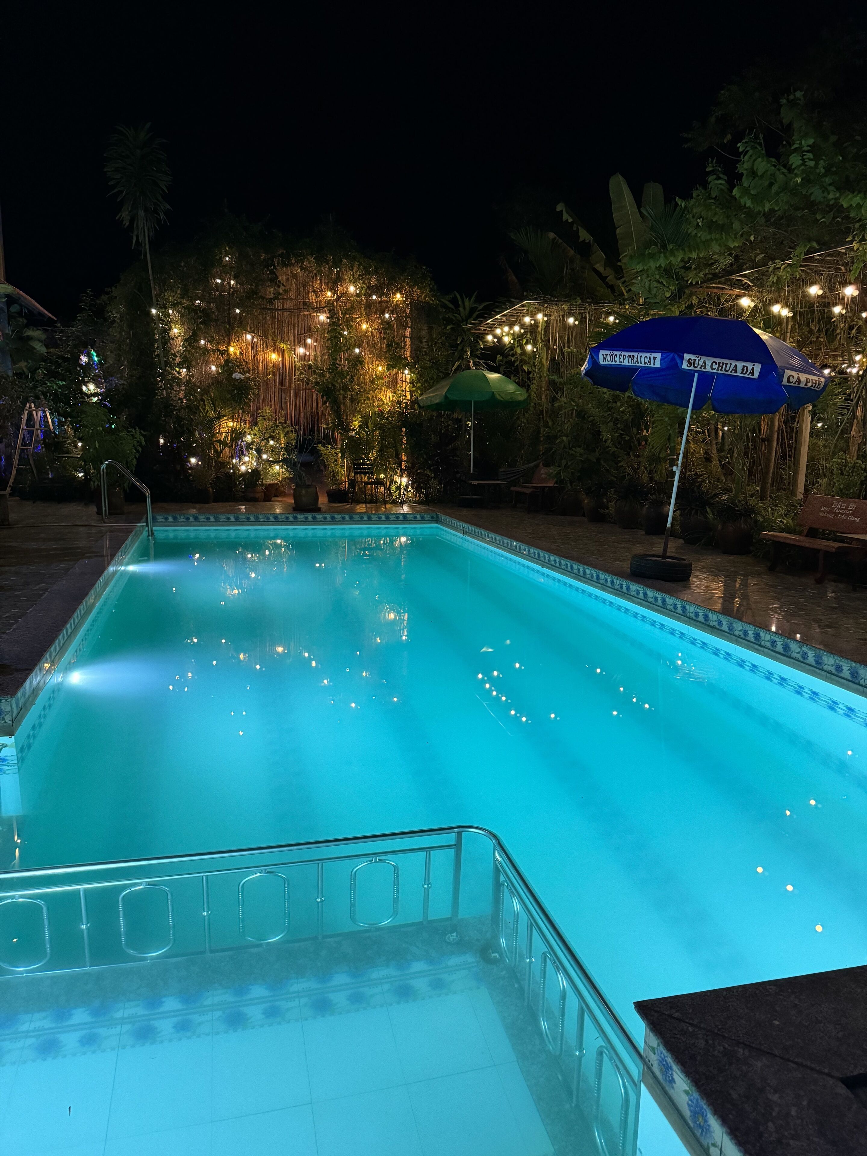 A swimming pool with a tiled edge, surrounded by lush greenery and decorative lights.