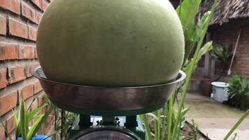 A scale with a large green object on it, set against a brick wall and a thatched roof structure.