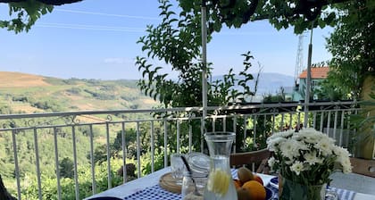 DOURO VALLEY MOUNTAIN HOUSE