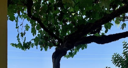 DOURO VALLEY MOUNTAIN HOUSE