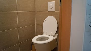 Ducha, secador de pelo, toallas, jabĂłn