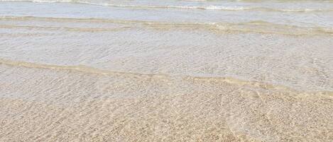 Playa en los alrededores