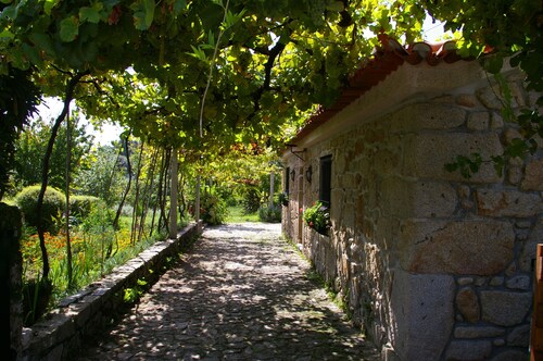 Small farm by the river