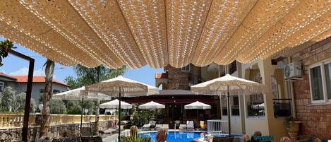 42-inch LCD TV with satellite channels, TV