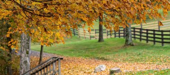 The Pill Box is the perfect getaway next to the Cowpasture River