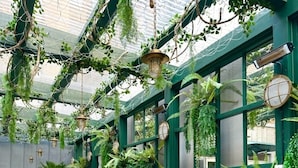 A covered outdoor dining area with wooden tables and benches, surrounded by lush greenery and hanging plants.