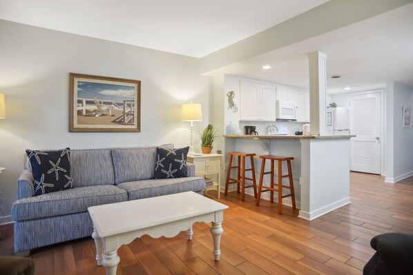 تلفزيون، مشغل دي في دي