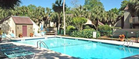 A swimming pool with lounge chairs, surrounded by palm trees and a small building.