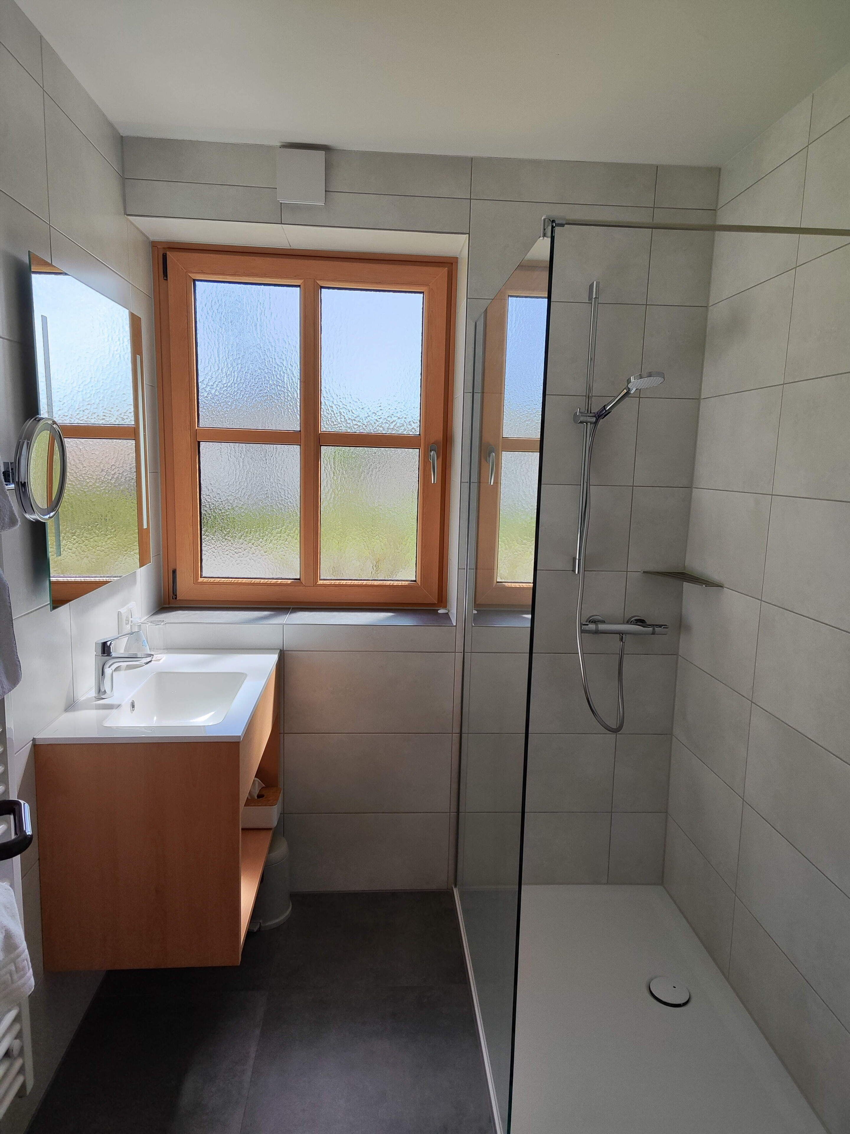 Single Room | Bathroom | Shower, hair dryer, towels, toilet paper