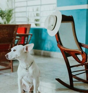 Interior - Hospedaje Casa Lool Beh Merida (Mérida)