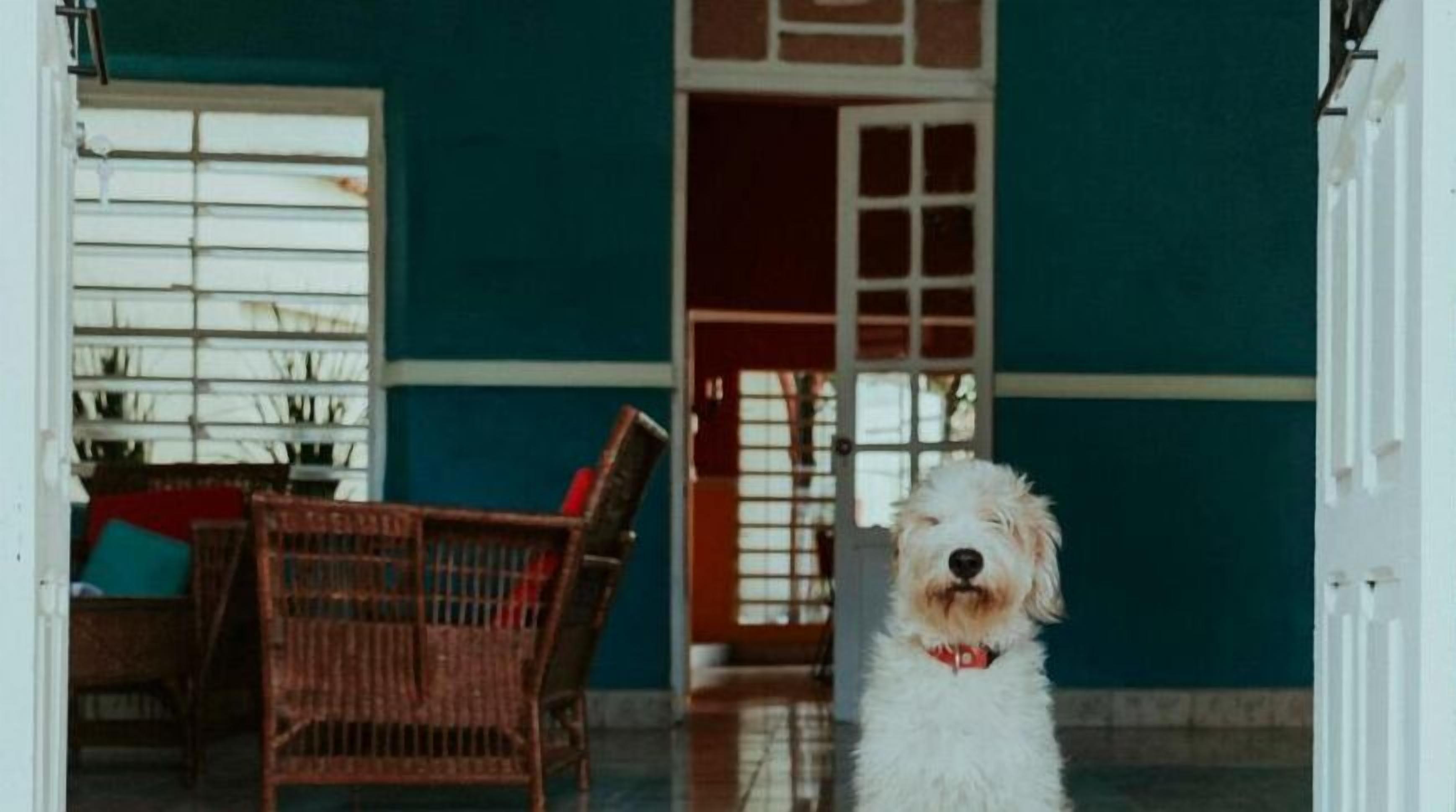 Foto - Casa Lool Beh