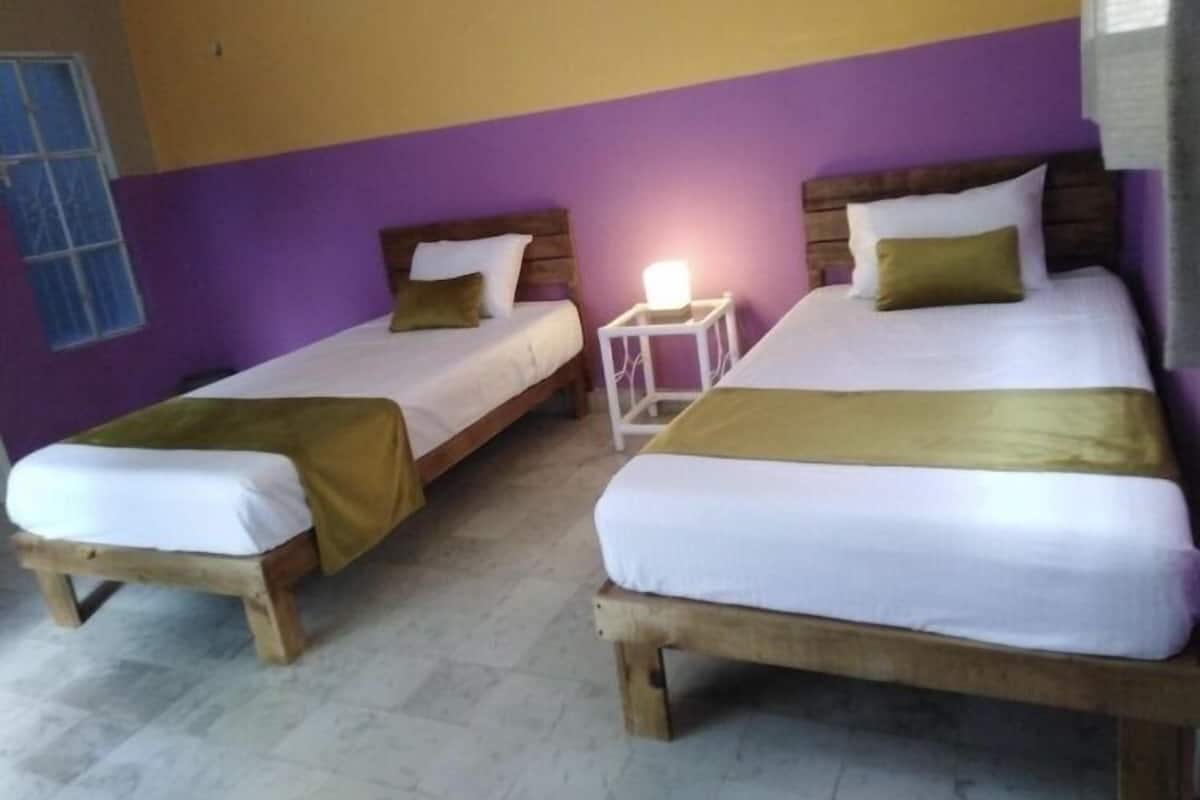 Two single beds with wooden frames and white bedding, a small bedside table with a lamp, and a window with blue curtains.