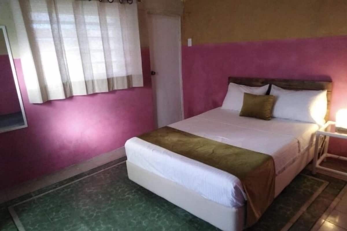 A bedroom with a bed, a nightstand, a window with curtains, and a door.