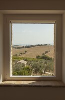 A window with a view of a rural landscape, including fields and a small building.
