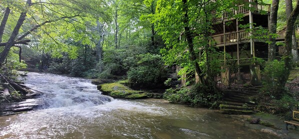 Property grounds - Bear Gone Fishing- Perfect Fall Getaway!!! Mins to Highlands (Scaly Mountain)