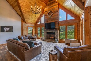 TV, fireplace, video games, offices
