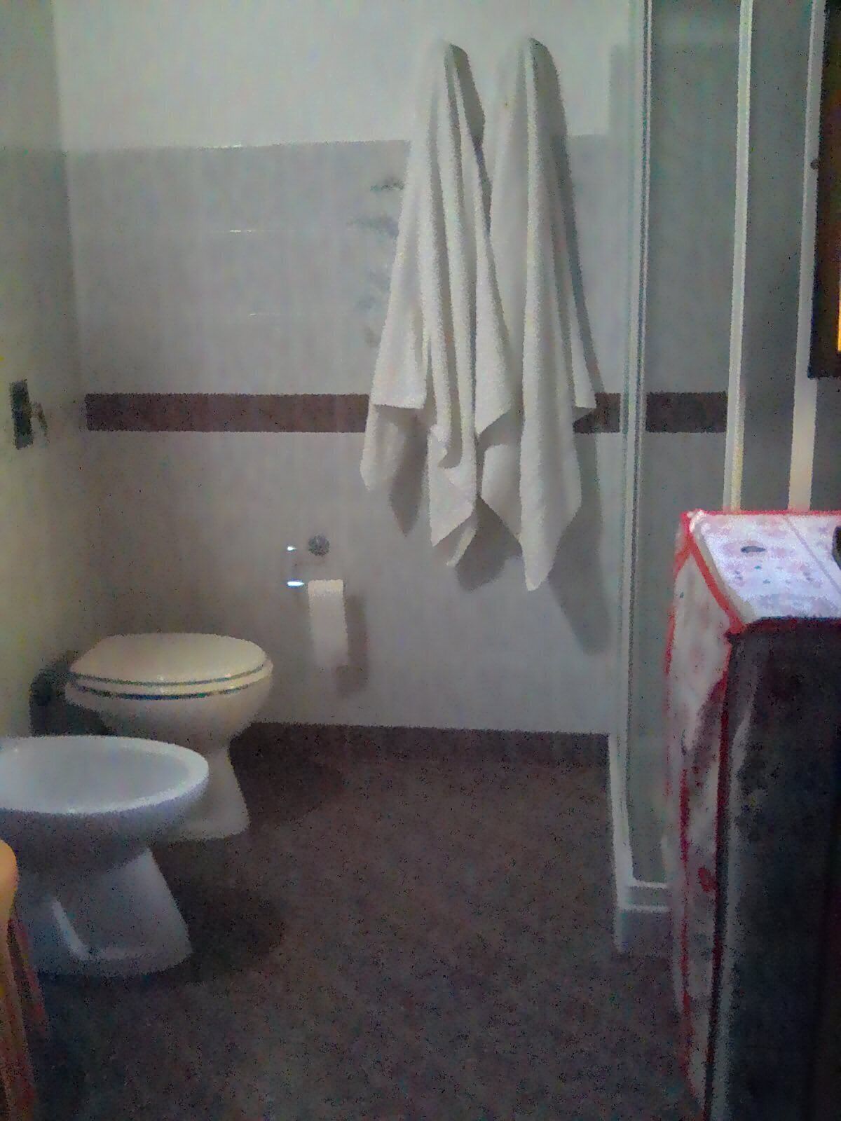Shower, hair dryer, bidet, soap