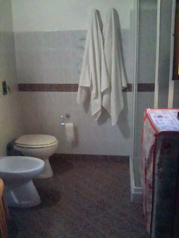 Dusche, Haartrockner, Bidet, Seife