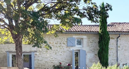 Longère Charentaise restored with private heated swimming pool - Classified 5 *-