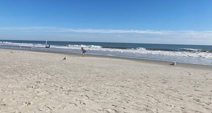 SPACIOUS & PERFECT PLACE TO VACATION AT THE BEACH!