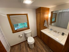 A bathroom with a toilet, wooden cabinets, a sink with a mirror, and a window with a view of trees. - Lake Front with Amazing Sunsets on McGrath Pond (Oakland)