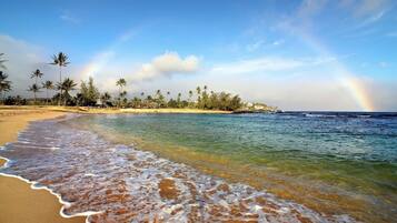 Une plage avec une eau cristalline, des palmiers et un arc-en-ciel.