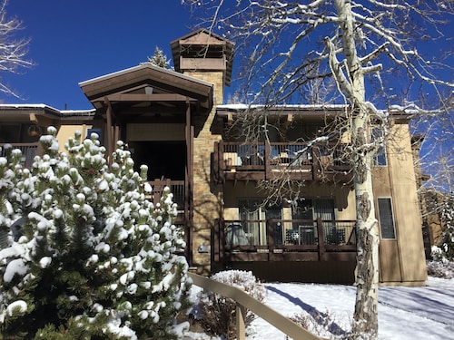 Cozy Mountain Retreat in Snowmass Village CO
