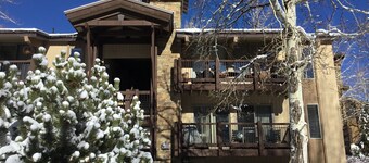 Cozy Mountain Retreat in Snowmass Village CO