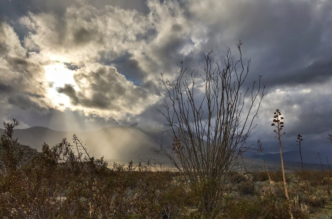 A landscape with a mountain in the background, a cloudy sky, and sparse vegetation in the foreground.