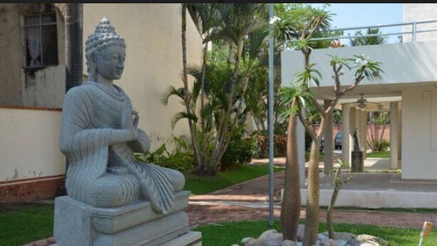 Una estatua de Buda de piedra en un jardín con palmeras y un edificio al fondo.