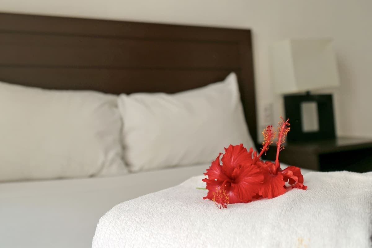 Ein Hotelzimmer mit einem Bett, weißen Kissen, einer roten Hibiskusblüte und einem Sonnenuntergangsbild an der Wand.