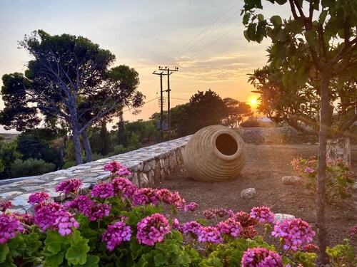 The Old Cafe at Myrtidia