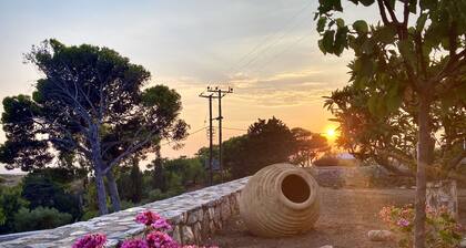 The Old Cafe at Myrtidia