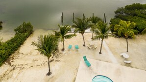 Uitzicht op een strand met een zwembad, palmbomen en ligbedden.