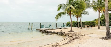 Playa en los alrededores 