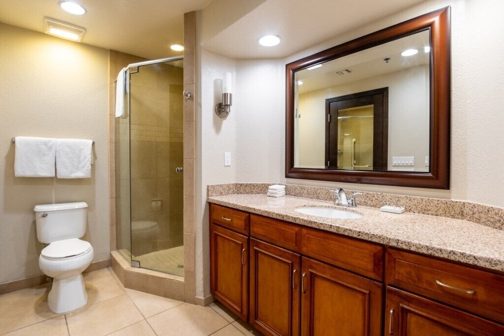 A bathroom with a shower, toilet, vanity with a sink, and a large mirror.