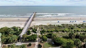 A beach with a long pier extending into the ocean, surrounded by greenery and a clear sky.
