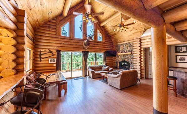 TV, fireplace, DVD player