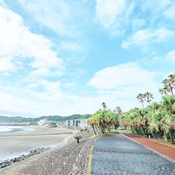 在海滩