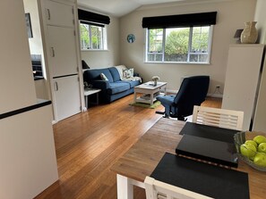 Smart TV, Netflix, DVD player, books