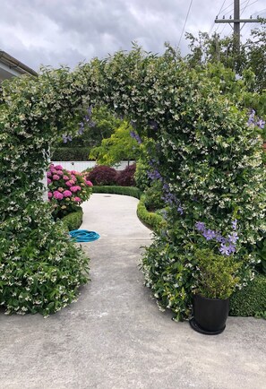 A pathway leading through a garden with various shrubs and flowers, including pink and purple blooms.