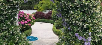 Hidden Gem - Bed & Breakfast