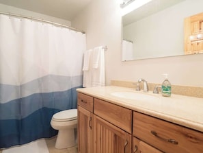 Shower, hair dryer, shampoo