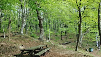 Parco della struttura