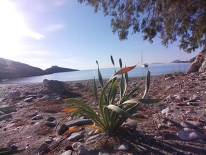 Am Strand