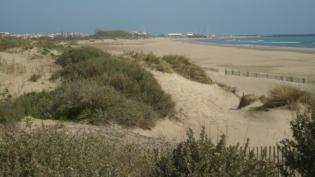 A sandy beach with dunes and sparse vegetation.