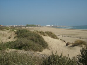 Una spiaggia sabbiosa con dune e vegetazione rada.